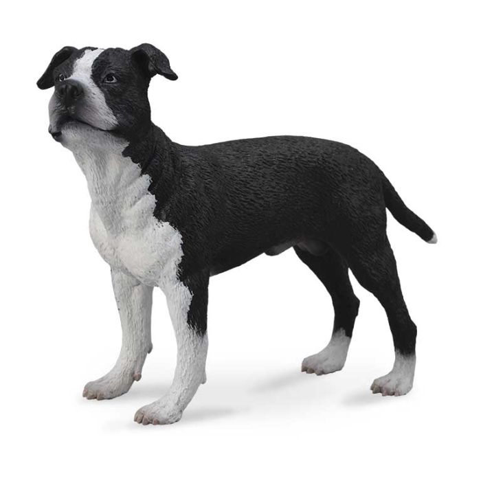 American Staffordshire Terrier -L- 88610 Collecta