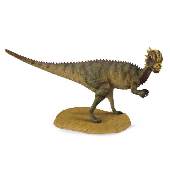 Pachycephalosaurus -M- 88629 Collecta