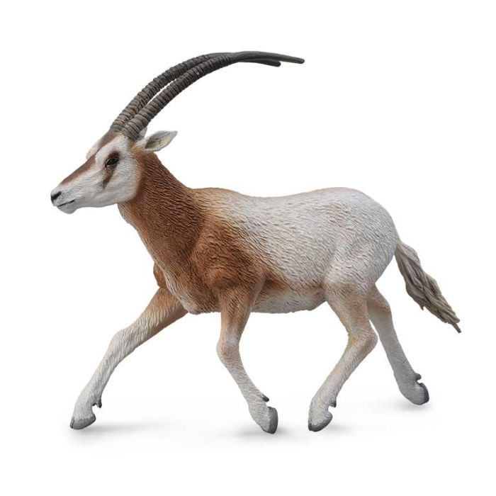 Antilope Africano (Orix Blanco) -L- 88637 Collecta