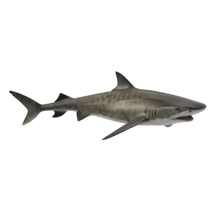 Tiburon Tigre -L- 88661 Collecta