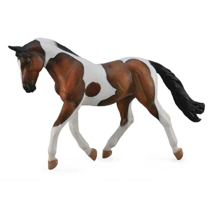 Pinto Mare Bahia - Xl - 88691 - Collecta