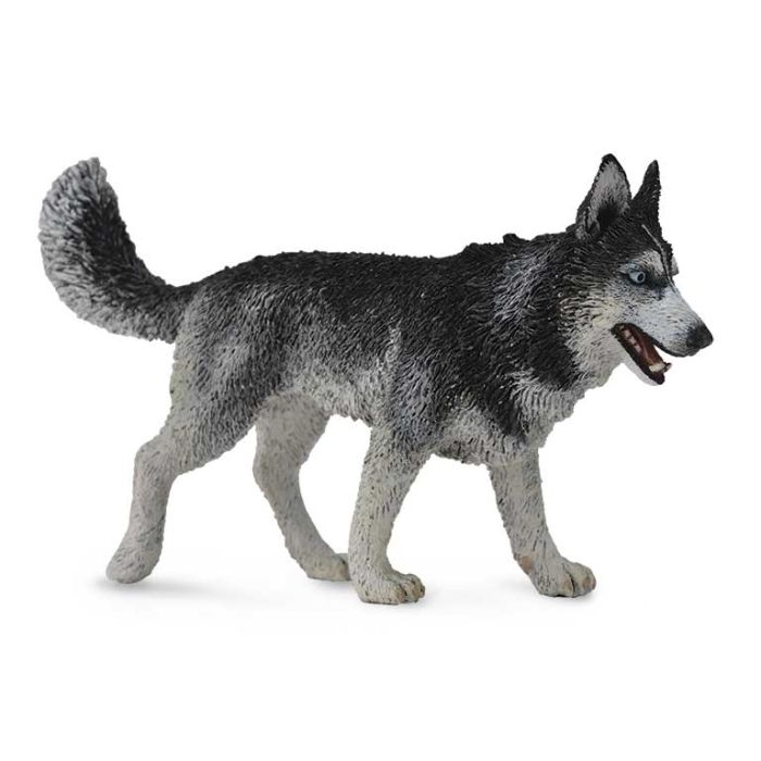 Husky Siberiano -L- 88707 Collecta