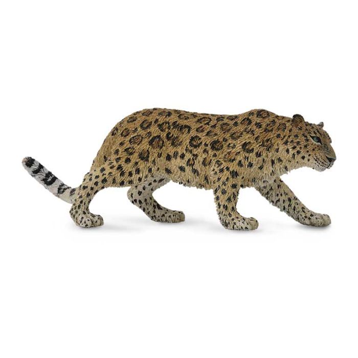 Leopardo Del Amur -Xl- 88708 Collecta