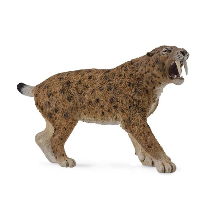 Smilodon -Xl- 88715 Collecta