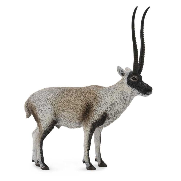 Chiru - Antilope Tibetano -L- 88721 Collecta