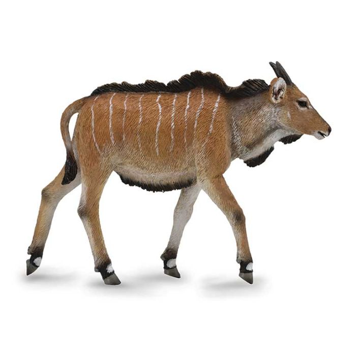 Eland Calf - M - 88768 - Collecta