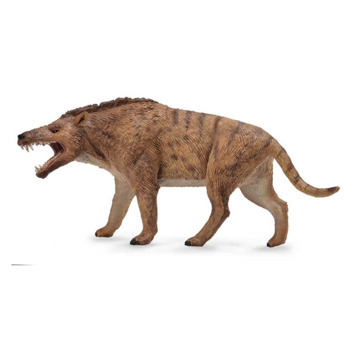 Andrewsarchus - Deluxe - 1:20 - 88772 - Collecta