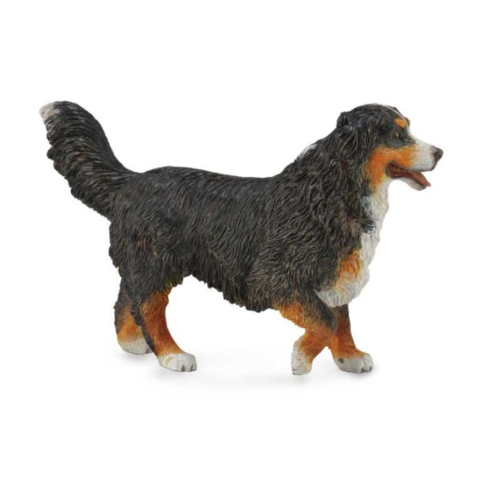 Perro Bernese De La Montaña - L - 88801 - Collecta