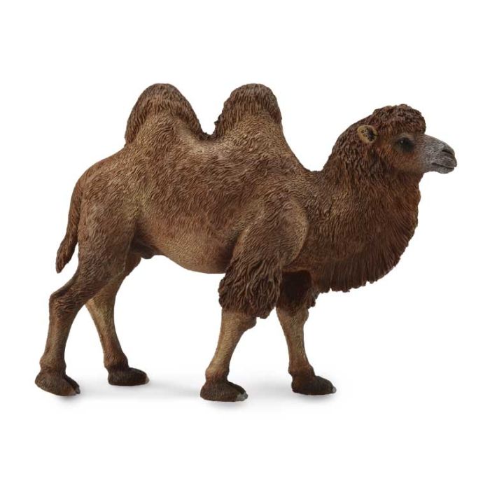 Camello Bactariano - L - 88807 - Collecta