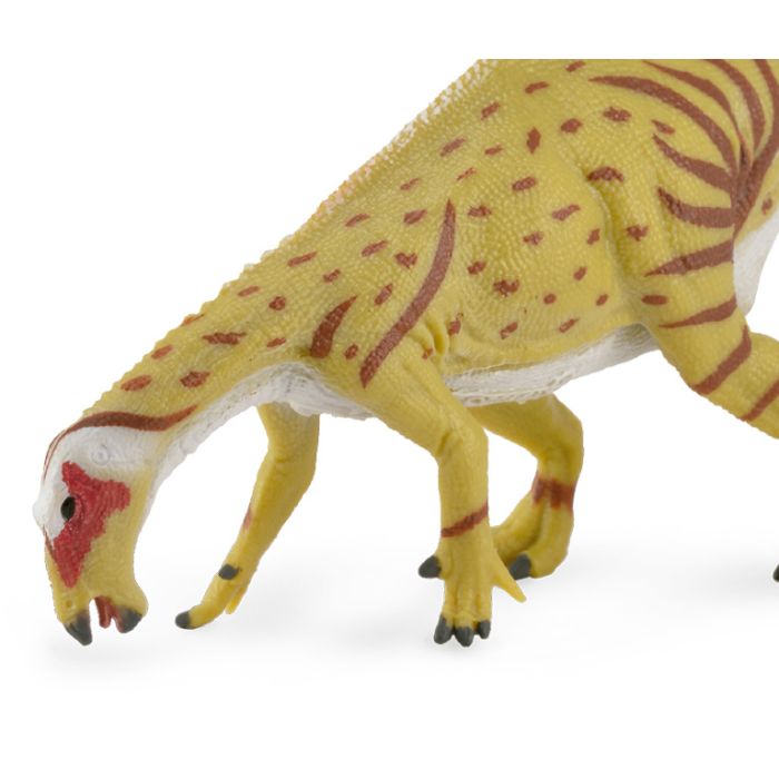 Mantellisaurus Bebiendo - M - 88810 - Collecta 1