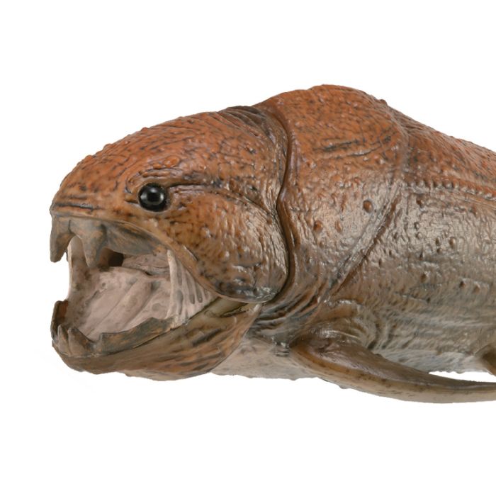 Dunkleosteus Con Mandibula Movil - Deluxe 1:20 - 88817 - Col 2