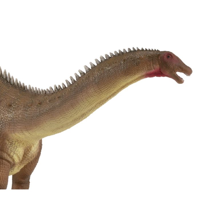 Brontosaurus - Xl - 88825 - Collecta 1