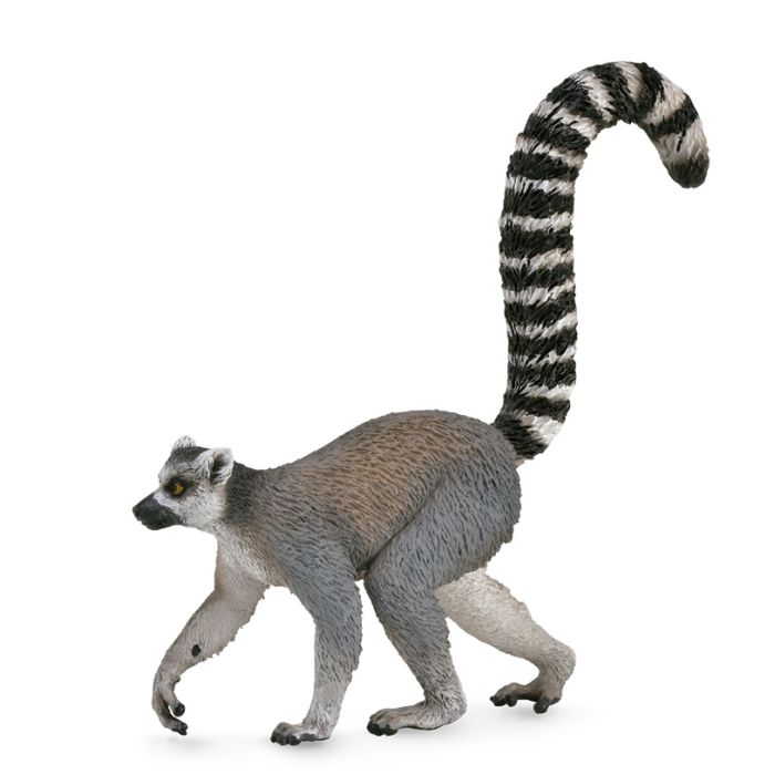 Lemur Con Cola Anillada - M - 88831 - Collecta 2