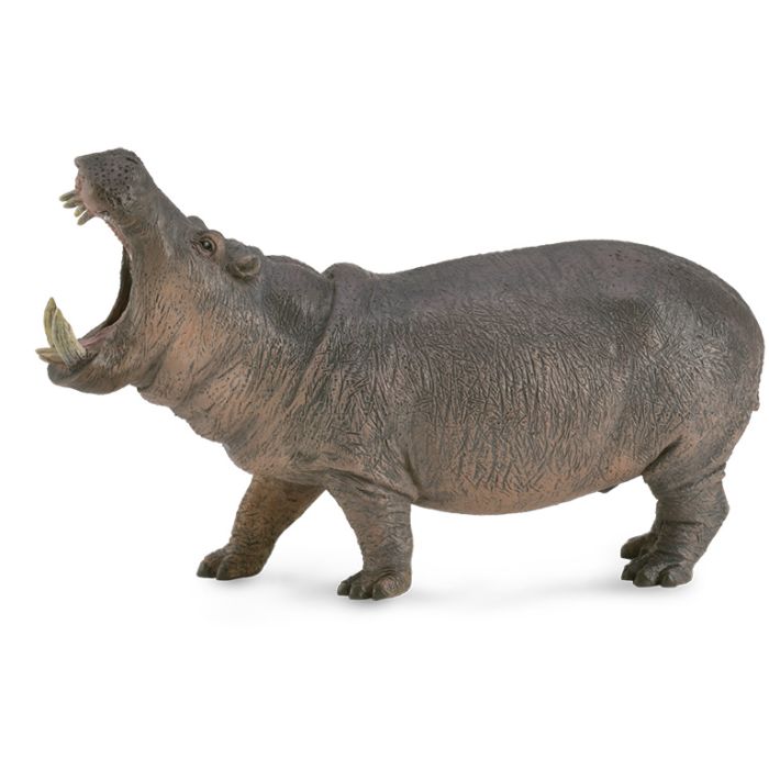 Hipopotamo - Xl - 88833 - Collecta 2