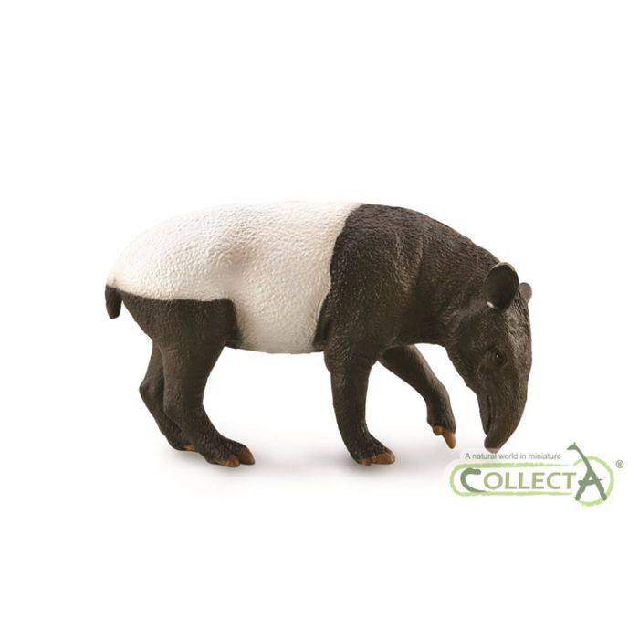 Tapir Malayo - L - 88881 - Collecta
