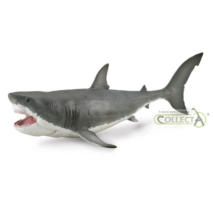 Megalodon Con Mandibula Movil Deluxe 1:40 Escala -