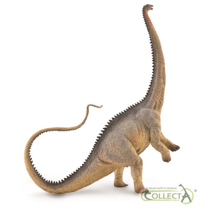 Diplodocus Gris - Xl - 88896 - Collecta