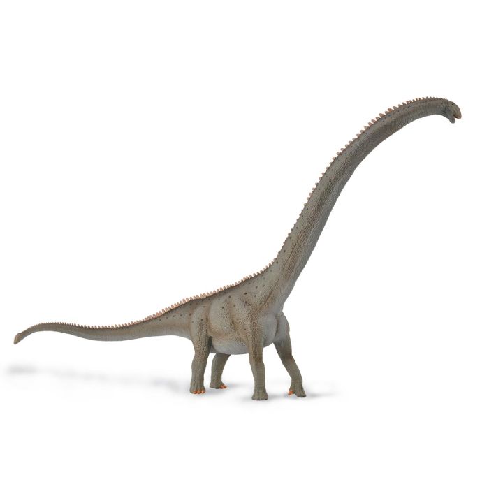 Mamenchisaurus - Deluxe 1:100 - 88908 - Collecta 1