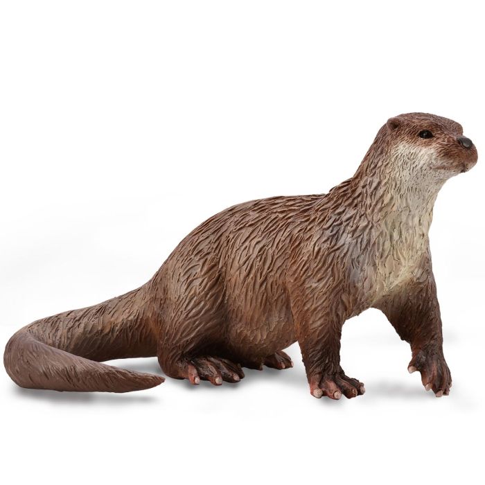 Nutria Comun- M - 88941 - Collecta