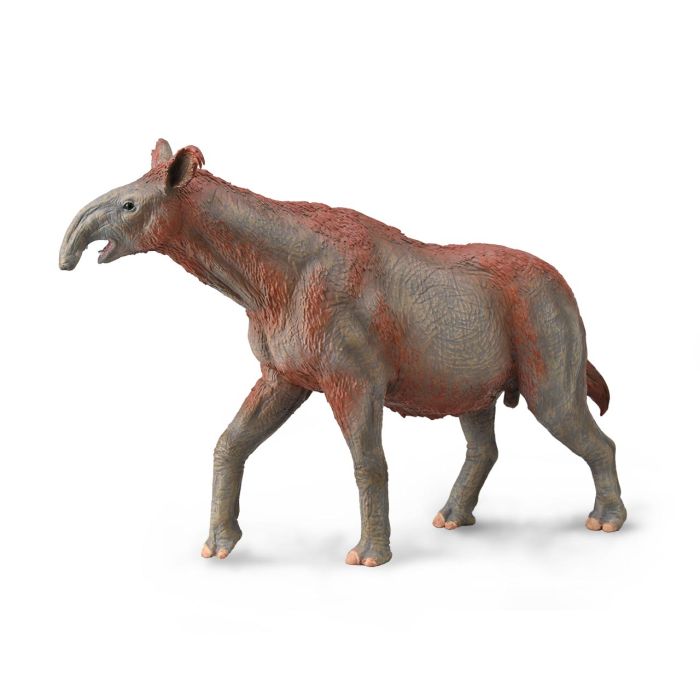 Paraceratherium - Deluxe - 88949 - Collecta