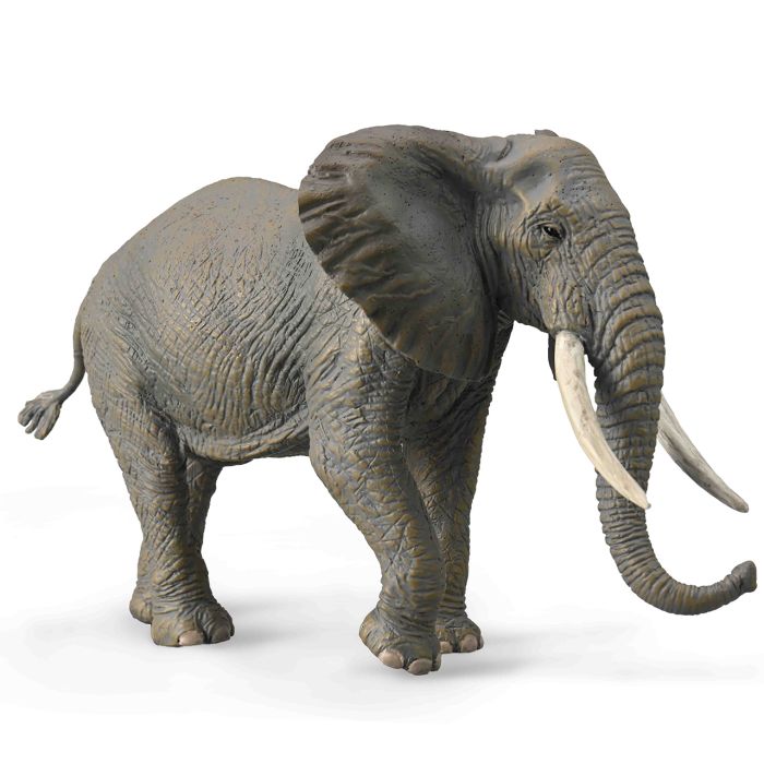 Elefante Africano De Arbusto - Xl - 88966 - Collecta