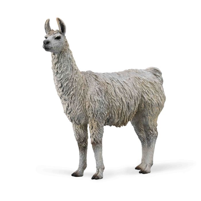 Llama - M - 88991 - Collecta