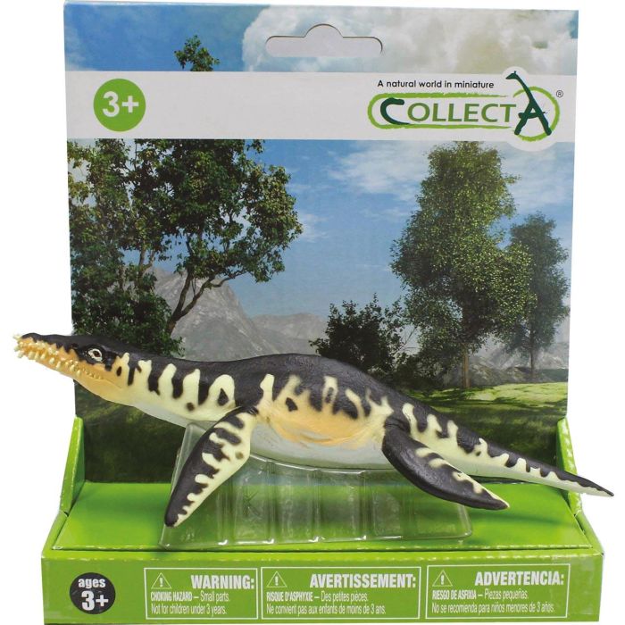 Liopleurodon -L- 89347 En Plataforma Collecta