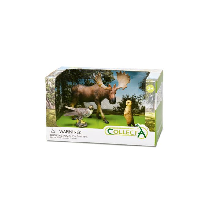 Vida Salvaje Bosque - 3Pcs En Caja Abierta - 89573 Collecta