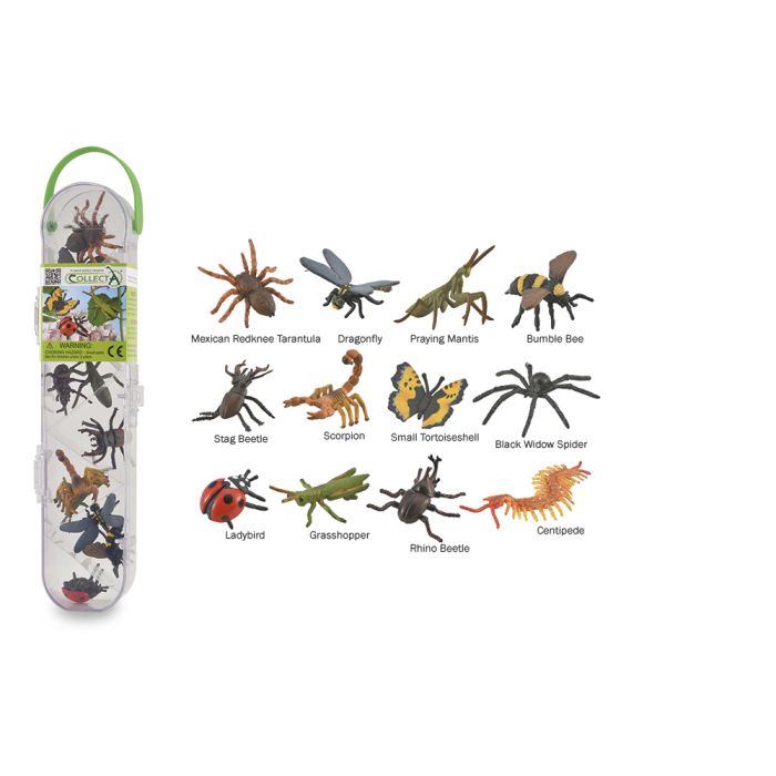 Box De Mini Insectos Y Arañas