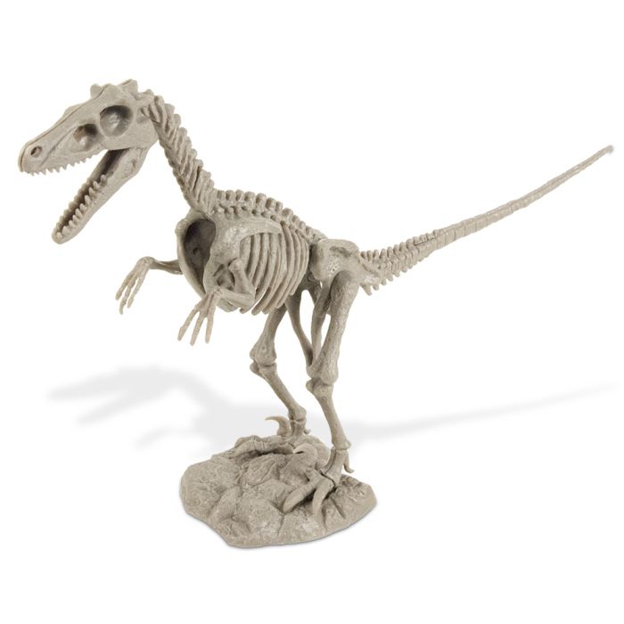 Kit De Excavacion Velociraptor - Dr. Steve