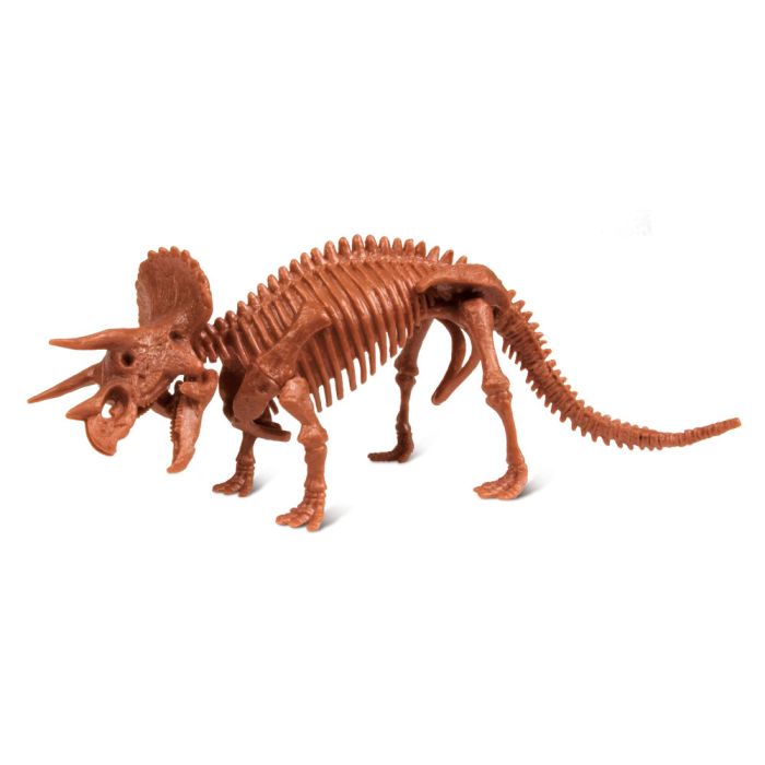 Kit De Excavacion Triceratops - Dr.Steve