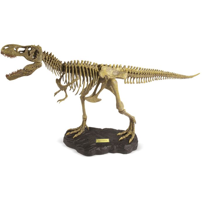 Kit Esqueleto Tyrannosaurus Rex 1:15 - Dr
