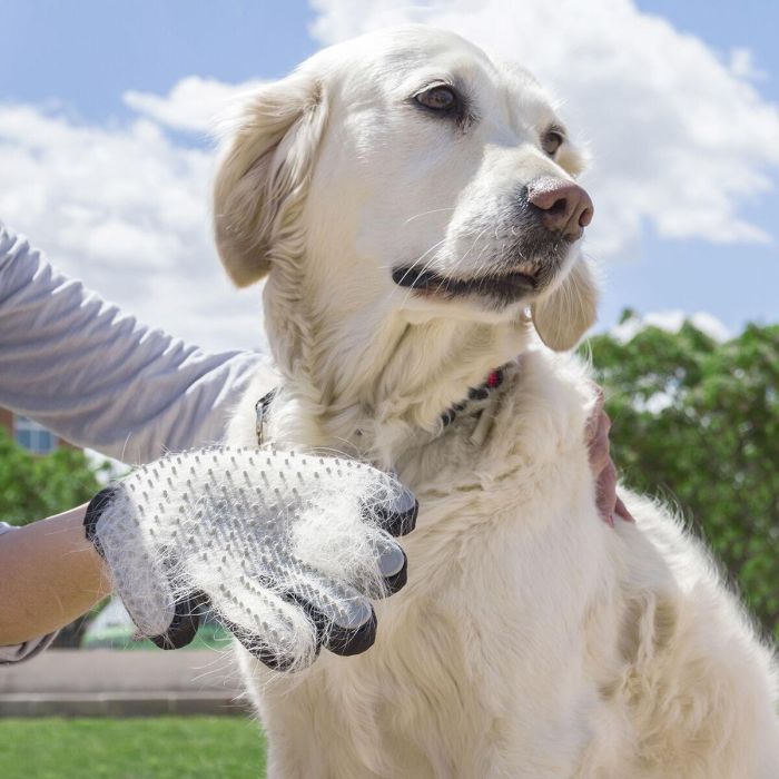 Guante para Cepillar y Masajear Mascotas Relpet InnovaGoods 0 Guante para Cepillar y Masajear Mascotas Relpet InnovaGoods 0