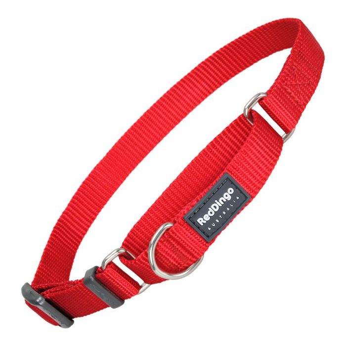 Collar para Perro Red Dingo Semiahogo Rojo (41-62 cm) (2,5 x 41-62 cm)