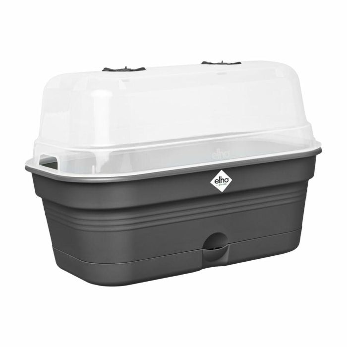 Elho ELH8711904515881 Bandeja de Cultivo Green Basics Allin1 L, Negro, 39x23x15 cm, para cultivo y cosecha, 100% reciclada