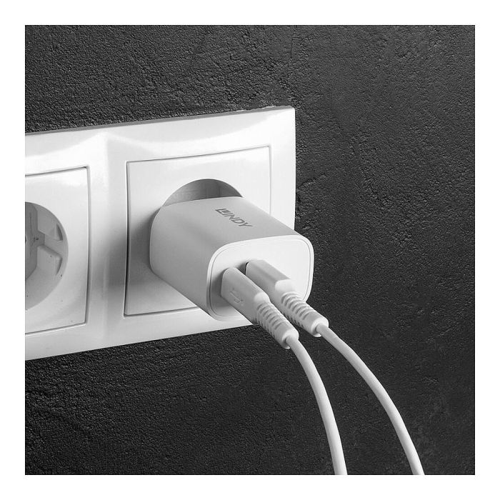 Lindy Cargador USB Tipo A y C de 20W 4