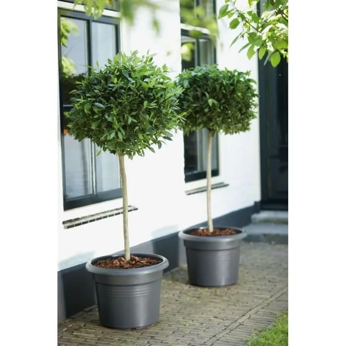 Elho Jardinera Green Basics Cilinder 65 Negro Ø 64 x H 49 cm 100% reciclado ELH8711904149178 5