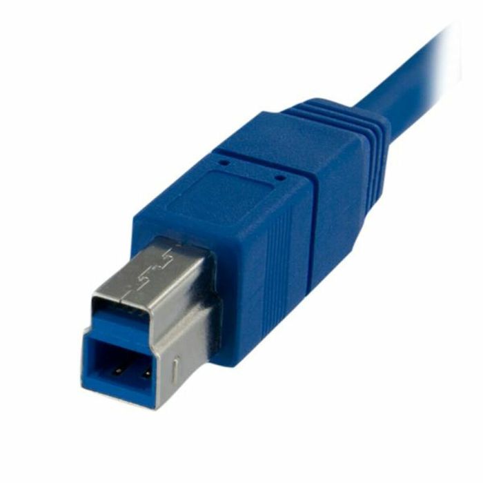 Cable USB A a USB B Startech USB3SAB1M            Azul 2