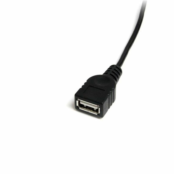 Cable USB A a USB B Startech USBMUSBFM1           1