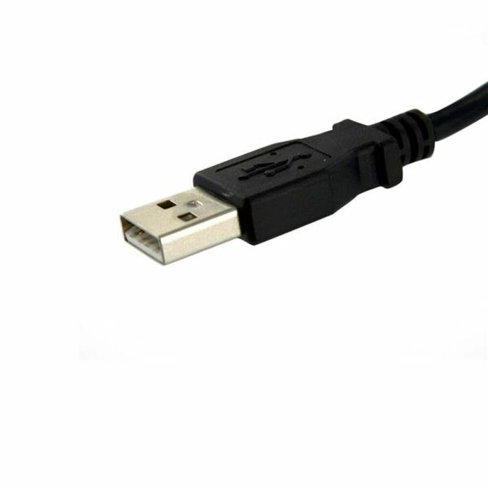 Cable USB Startech USBPNLAFAM1          USB A Negro 1