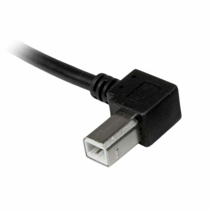 Cable USB A a USB B Startech USBAB1ML Negro 1