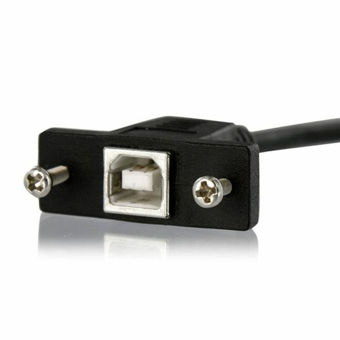 Cable USB Startech USBPNLBFBM1          USB B Negro 1