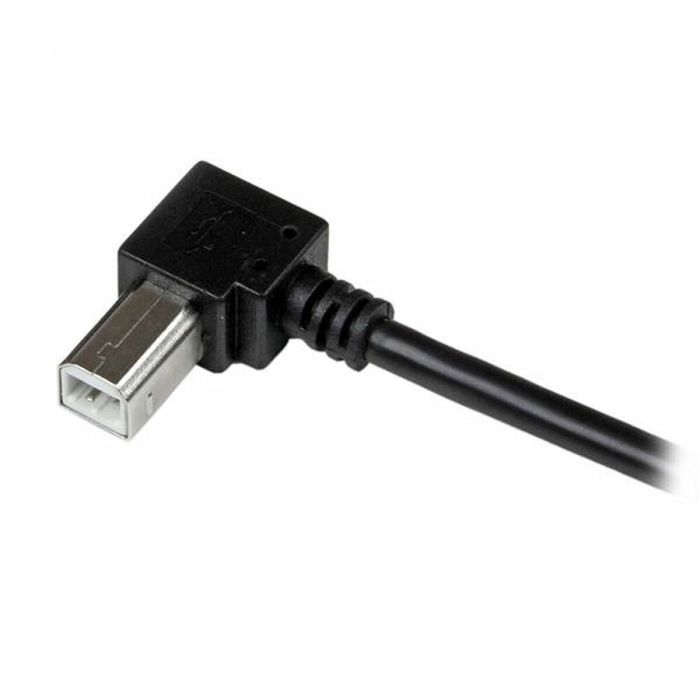 Cable USB A a USB B Startech USBAB1MR             Negro 1
