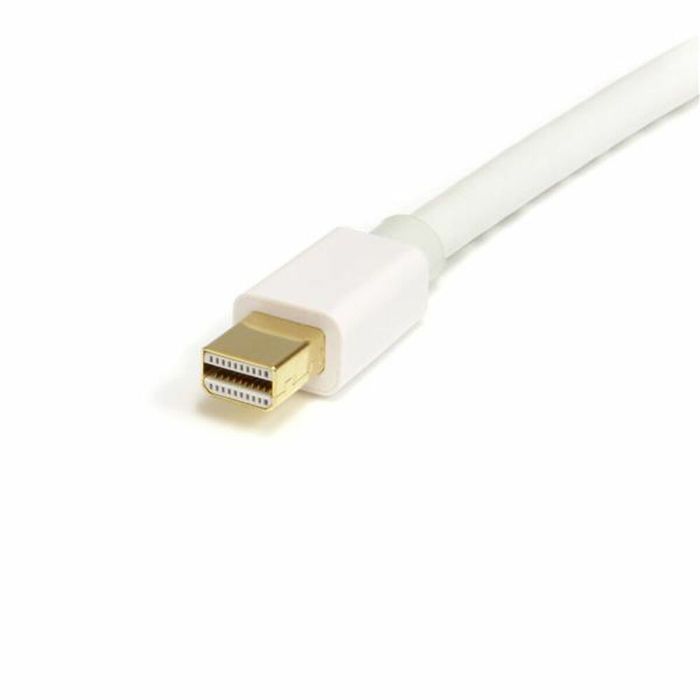 Cable DisplayPort Mini a DisplayPort Startech MDP2DPMM2MW (2 m) Blanco 4K Ultra HD 2