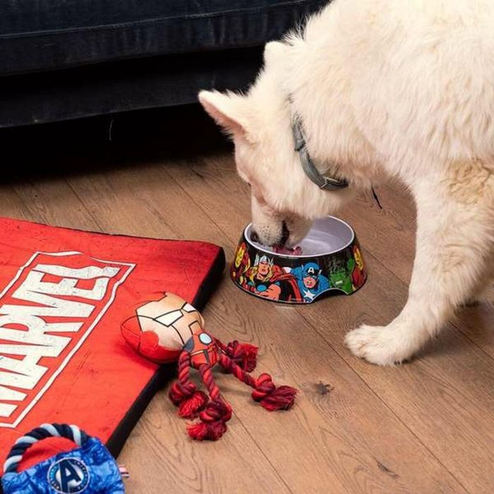 Comedero para perro l marvel t4l:l 3 Comedero para perro l marvel t4l:l 3
