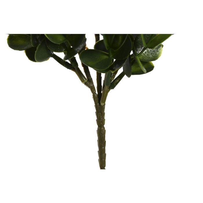 Rama DKD Home Decor Verde 18 x 61 x 18 cm (12 Unidades) 2 Rama DKD Home Decor Verde 18 x 61 x 18 cm (12 Unidades) 2