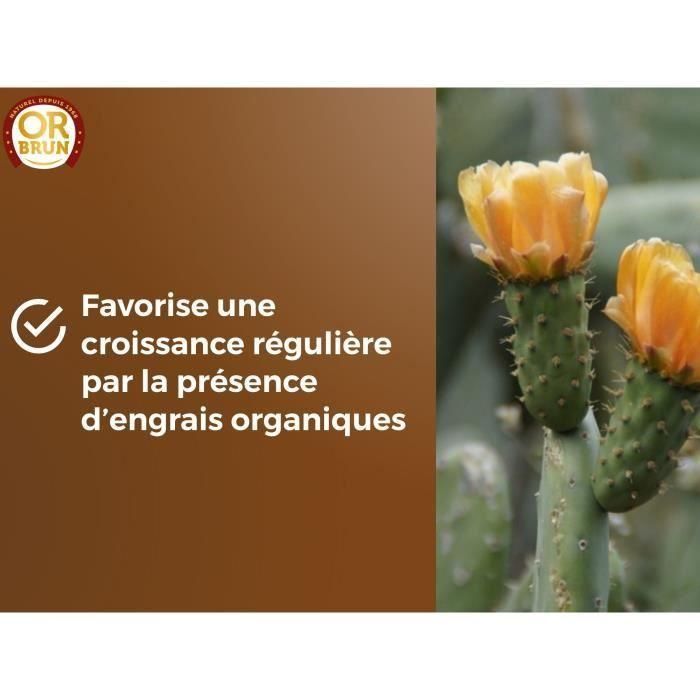 Sustrato para cactus y plantas suculentas - BROWN GOLD - OBRTCAC6U - 6L - Promueve el crecimiento 5 Sustrato para cactus y plantas suculentas - BROWN GOLD - OBRTCAC6U - 6L - Promueve el crecimiento 5