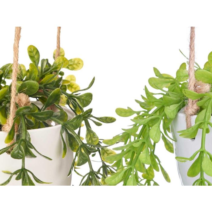 Maceta Colgar Surtidos Ibergarden 18X66CM (24 Unidades) 1 Maceta Colgar Surtidos Ibergarden 18X66CM (24 Unidades) 1
