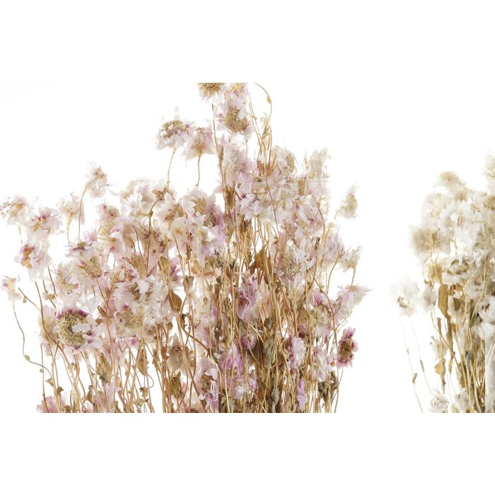 DKD Home Decor Ramo de Flor Seca Blanco y Rosa para Decoración, Pack de 12 Unidades Surtidas, 60 cm Alto x 3 cm Largo x 16 cm Ancho 1 DKD Home Decor Ramo de Flor Seca Blanco y Rosa para Decoración, Pack de 12 Unidades Surtidas, 60 cm Alto x 3 cm Largo x 16 cm Ancho 1