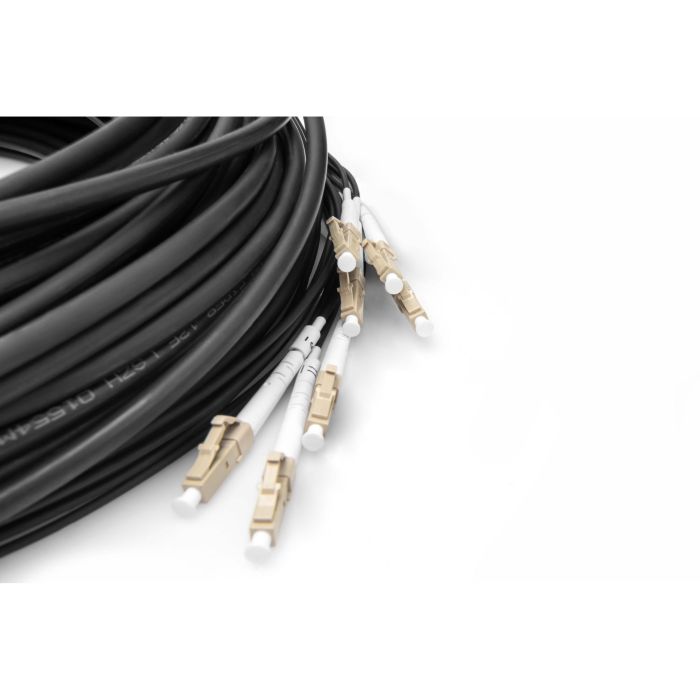DIGITUS LWL Patchkabel LC->UPC 50m Vorkonfektioniert OM4 8 1 DIGITUS LWL Patchkabel LC->UPC 50m Vorkonfektioniert OM4 8 1